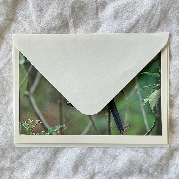 Australian Wildlife Photography Greeting Cards - Picture 4 of 16